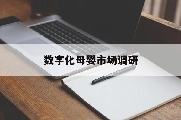 镇江市数字化母婴市场调研(数字化母婴市场调研报告)